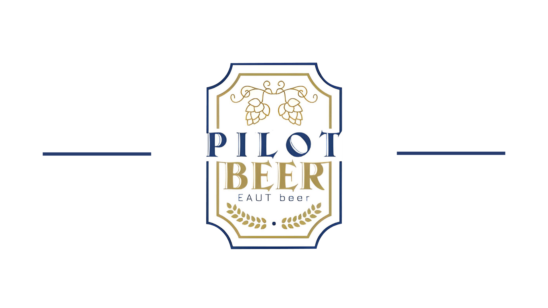 The Pilot Beer | Vietnam Original Craft Beer